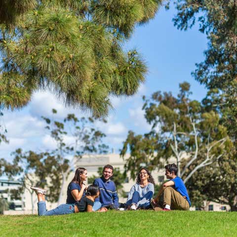 students sitting on the lawn having a discussion